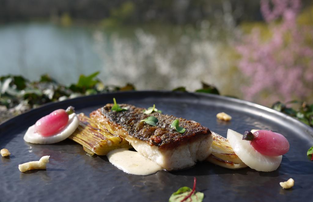 Logis Hotels Domaine Du Chatelard Dirac Экстерьер фото